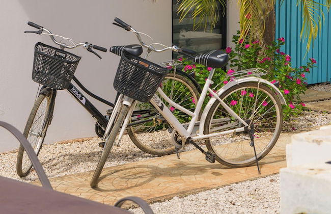 Villas VR Beachwalk Avellanas - Foto 54