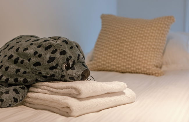 Beachside Apartment for Four at Knokke-heist - Foto 23