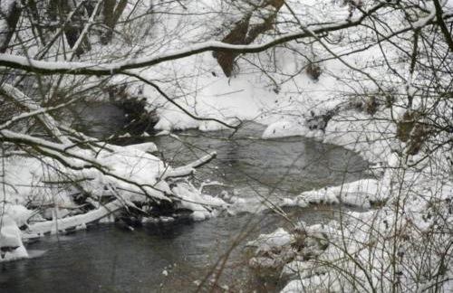 Holiday Home in Germany With Terrace - Foto 68