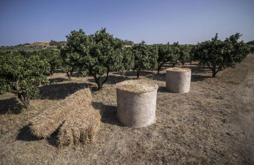 Agriturismo Il Giriatello - Foto 51