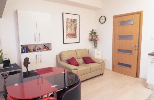 Apartmani Jastreb - Foto 4