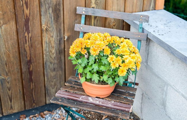 Peaceful Durbuy Home & Garden - Photo 29