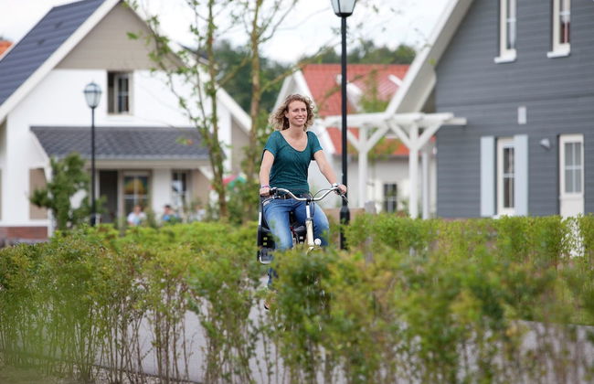 Restyled Wooden Lodge Near the Maasduinen - Foto 15