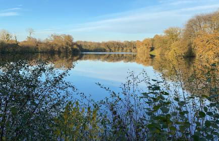 Château de Marigny - Piscine Privée 8000m2 Jardin - Photo 30