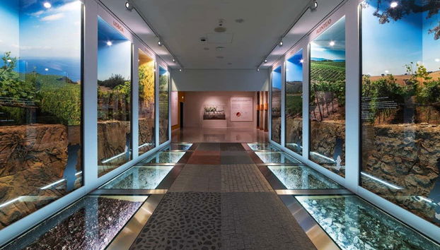 WOW Porto Ticket - Foto 3