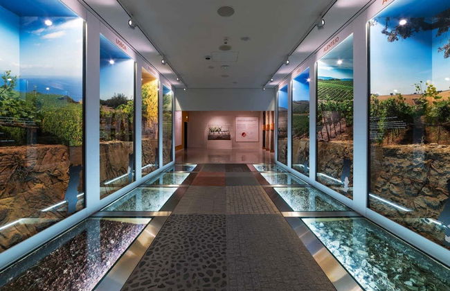 Entrada a un museo de WOW Porto - Foto 3