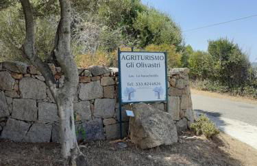 agriturismo gli olivastri appartamento raggio di sole , con piscina e vista mare ,climatizzatore,wifi - Photo 8