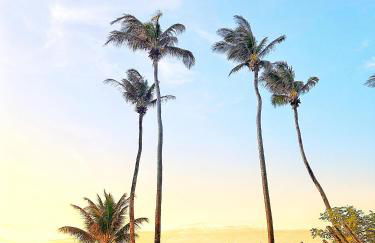 Taiba Beach Resort - Ap 106 BL A - IMOB TEMPORADA - Foto 41