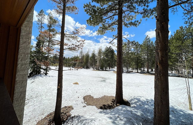 Obsidian Dreaming - On the Sierra Star Golf Course - Foto 49