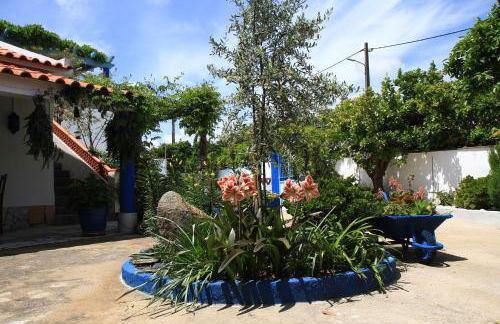 Casa dos Avós - Foto 59