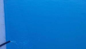 Ruta Del Aguila alojamiento turístico de calidad - Foto 3