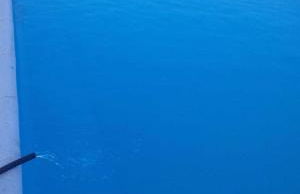 Ruta Del Aguila alojamiento turístico de calidad - Foto 3