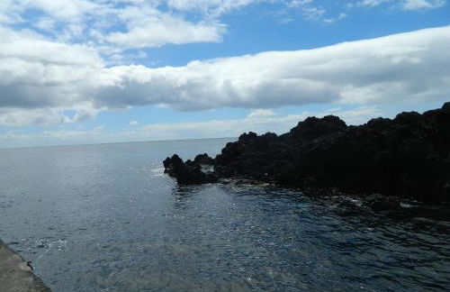 Adega Ninho da Cagarra - Photo 39