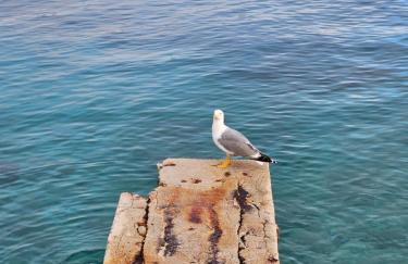 Apartments Zorka 2 - Foto 20