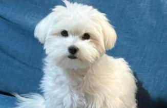 Holiday Nest & parking - Foto 41