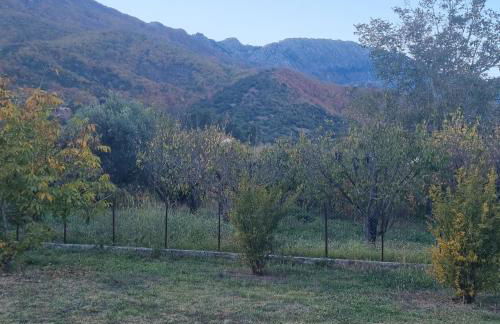 ESTELA House - Foto 12