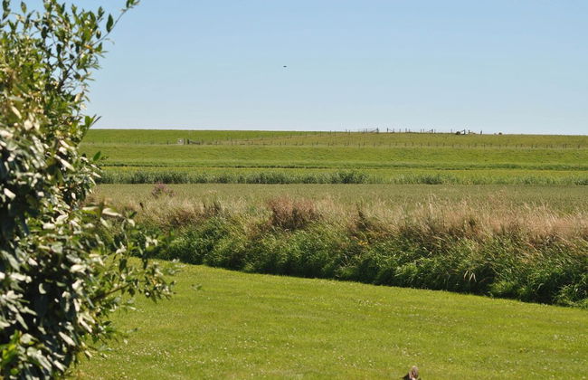 Lovely Holiday Home in Texel Near Sea - Foto 78