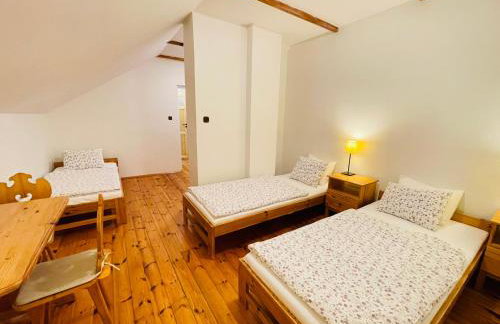 Agroturystyka Dom Wśród Sosen - Foto 68