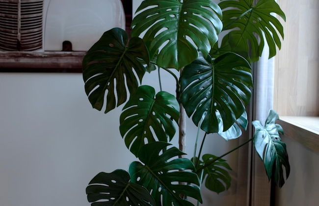 Home Again Kirkegata 30 - Photo 75