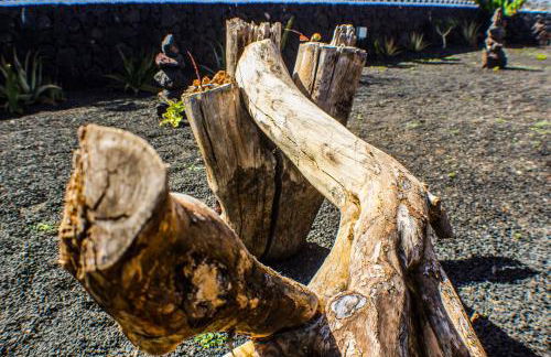 Villa Cactus Piscina Climatizada - Foto 25