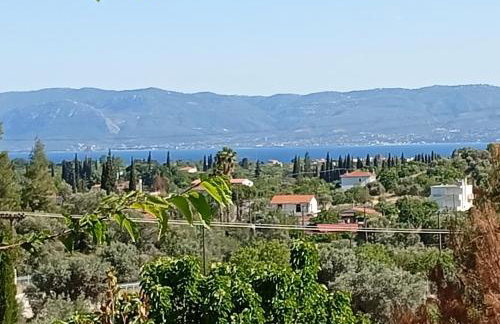 Villa Despoina - Photo 24