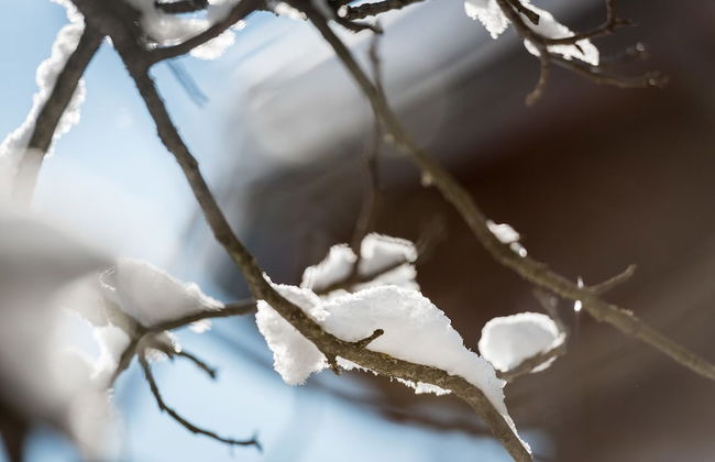 Ferienwohnungen Vomperberg - Foto 48