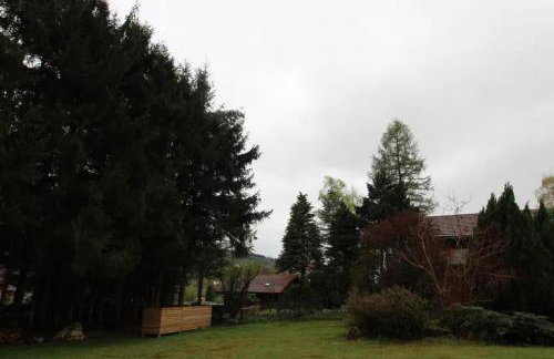 Chalet 6 personnes au Ménil - Vosges - Vacances nature en famille - Foto 26