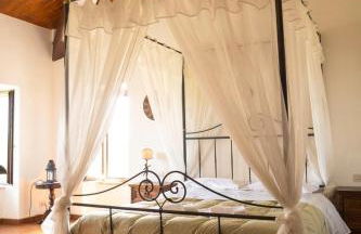 Il Casale dello chef - Foto 15