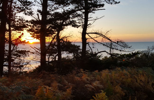 Les Menhirs - Foto 45