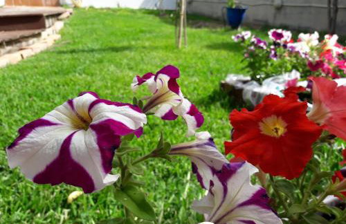 Hotel Dimitra - Foto 65