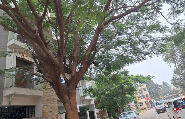 Green Valley Suites - Foto 11