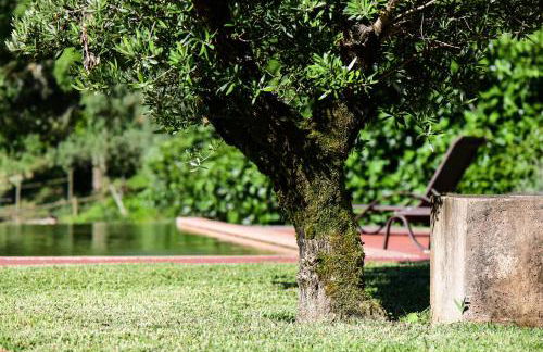 Vale do Ninho Nature Houses - Foto 6