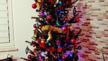 Ein Trip in die Natur - Foto 2