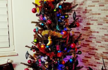 Ein Trip in die Natur - Foto 2