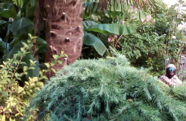 Le Logis d'Elisa - Foto 23