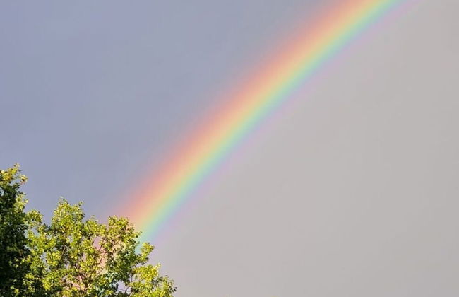 at Bauernsee Modern Retreat - Foto 13