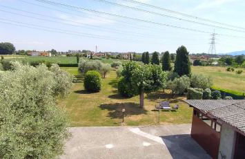 Casolare L'Antico Olivo - Foto 11