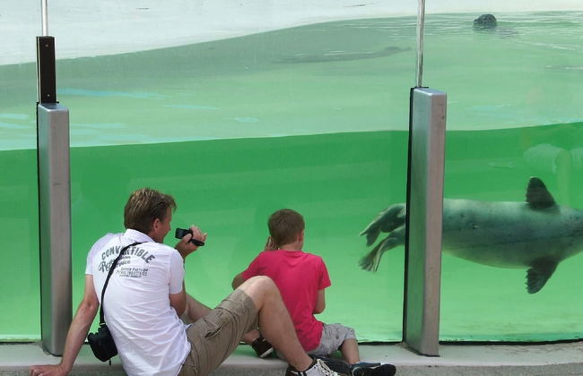 Nice Bungalow With Dishwasher in a Holiday Park 1.2 km. From the sea on Texel - Foto 41