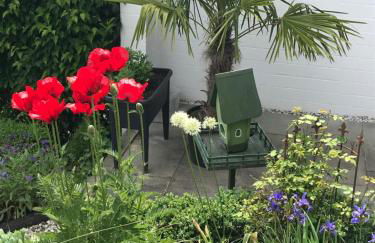 Privatwohnung mit Terrasse zum Relaxen - Foto 5