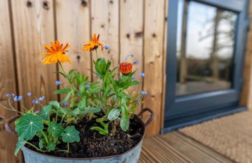 Luxury Glamping Cabin with Outdoor Bath on Cornish Meadow - Photo 15