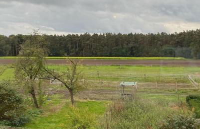 Wunderschöne Ferienwohnung auf dem Bauernhof - Foto 16