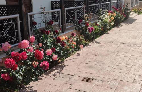 Guesthouse Michobeis - Foto 50