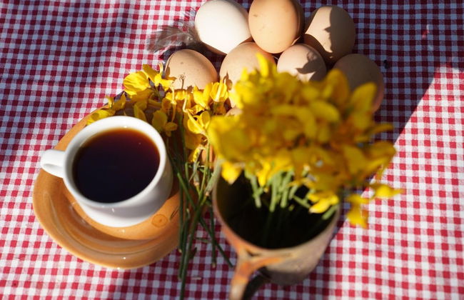 Kadir's Family House - Photo 29