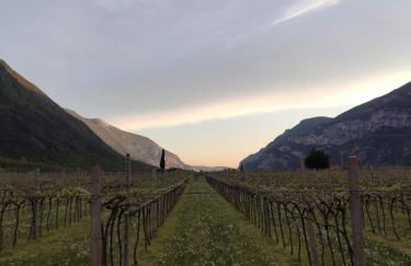 Agriturismo Revena - Foto 31