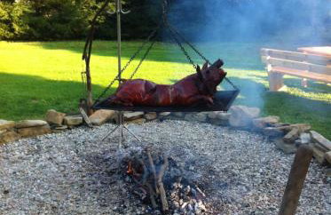 Bieszczadzka Sielanka - Foto 35