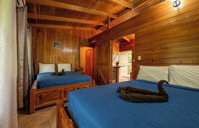 Esquipulas Rainforest - Foto 10