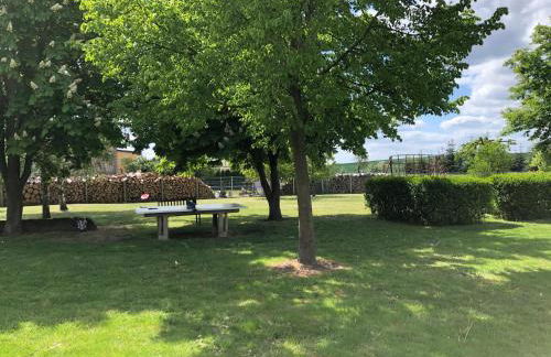 Ferienhaus Biene - Photo 21