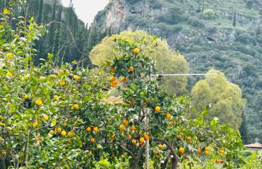 SokratesVilla - Foto 33