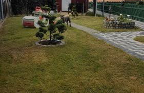 Ferienwohnung zum Schwandter See - Foto 11