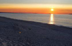 Il ginepro e la lantana - Foto 41